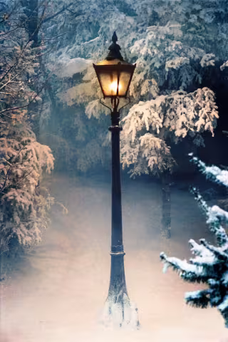 Narnia Lamppost in backyard garden