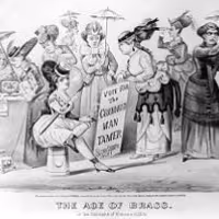 320px-Age-of-Brass Triumph-of-Womans-Rights 1869