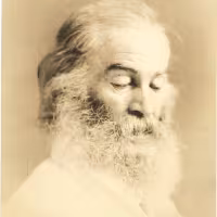 whitman